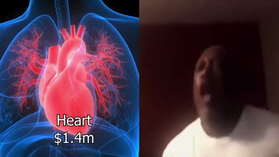 Ranking My Organs